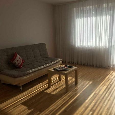 Welcoming Apartment Anykščiai Zewnętrze zdjęcie