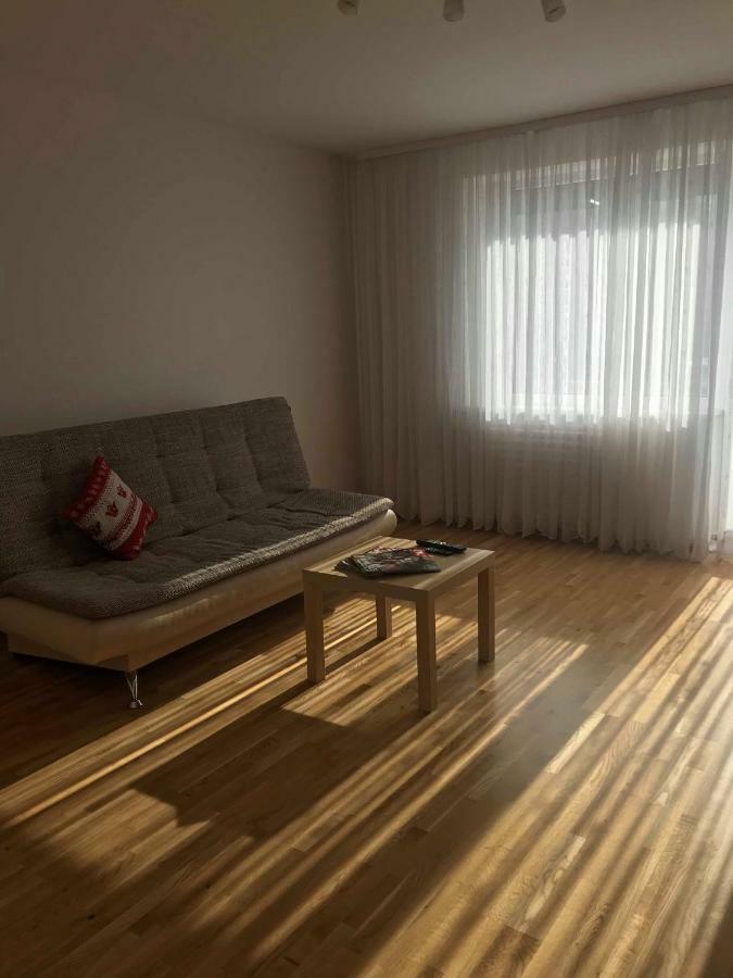 Welcoming Apartment Anykščiai Zewnętrze zdjęcie